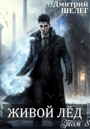 обложка книги ЖЛ 8 (СИ) - Игорь (Дмитрий) Шелег