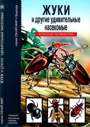 обложка книги Жуки и другие удивительные насекомые - С. Афонькин