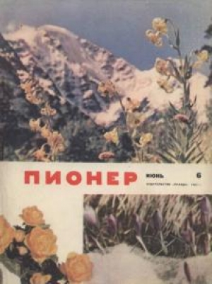 обложка книги Журнал 