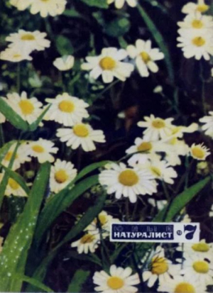 обложка книги Журнал «Юный натуралист», 1970 №07 - авторов Коллектив