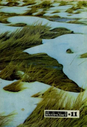 обложка книги Журнал «Юный натуралист», 1970 №11 - авторов Коллектив