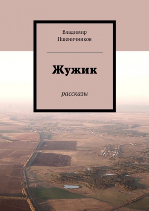 обложка книги Жужик - Владимир Пшеничников