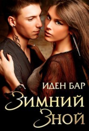обложка книги Зимний зной (СИ) - Иден Бар