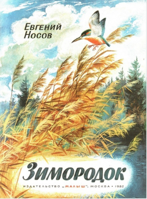 обложка книги Зимородок - Евгений Носов