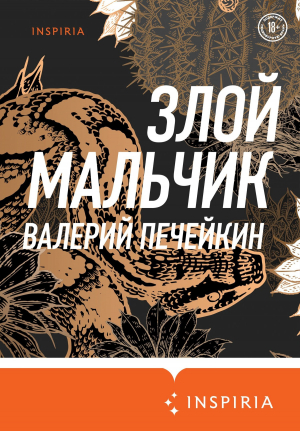 обложка книги Злой мальчик - Валерий Печейкин