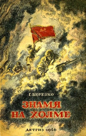 обложка книги Знамя на холме (Командир дивизии) - Георгий Березко