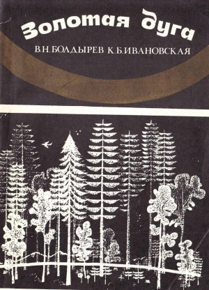 обложка книги Золотая дуга - Виктор Болдырев