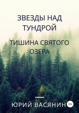 обложка книги Звезды над тундрой. Тишина Святого озера - Юрий Васянин