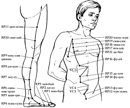 21 точка. Меридиан поджелудочной железы точки. Меридиан селезенки и поджелудочной железы точки. Меридиан поджелудочной железы в китайской медицине. Канал селезенки акупунктурные точки.