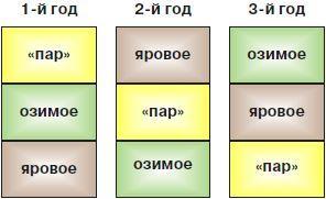 В чем преимущество трехполья перед двупольем. Трехполье. Трехполье это в истории. Трехпольная система земледелия. Схема трехпольной системы.