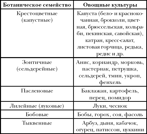 Классификация овощных растений схема