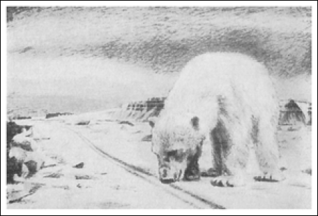 Рисунок от южных морей до полярного края. Фрам в Полярном море. Экспедиция к белым медведям. Фритьоф Нансен рисунок Полярный медведь. Кот Нансен Полярный.