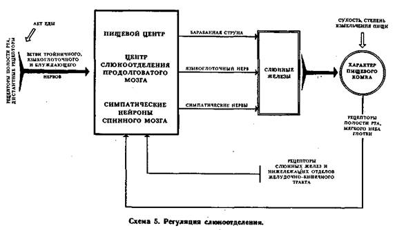 Схема фус восприятия боли