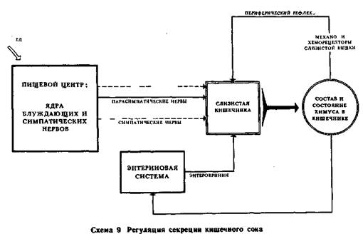 Схема механизмов регуляции информационного стресса