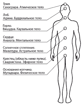 Органы земли. Чакральная структура человека Меньшикова. Тонкие тела человека Меньшикова. Проекция чакр на теле. Ксения Меньшикова чакры.