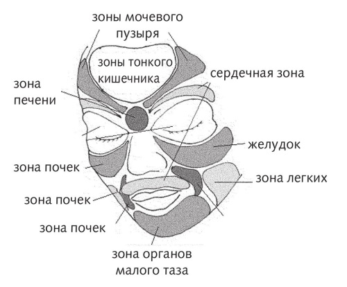 Зоны захарьина геда схема на лице