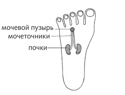 Точка доктор желчь на ладони рисунок