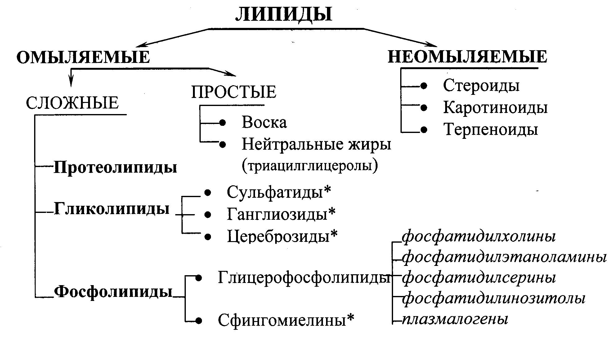 Липиды химия презентация