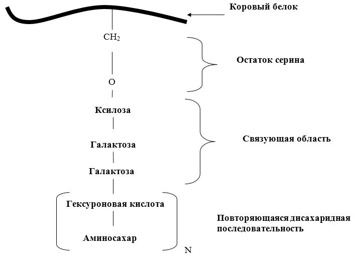 Синтез гаг схема