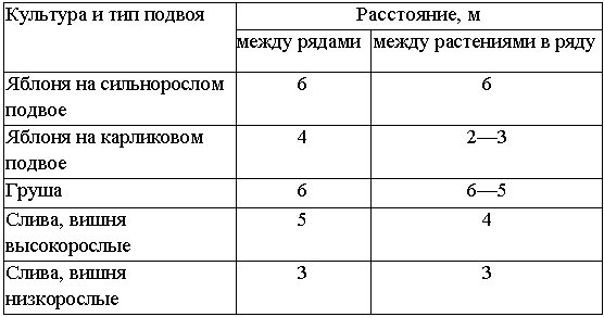 Схема посадки яблонь на карликовом подвое