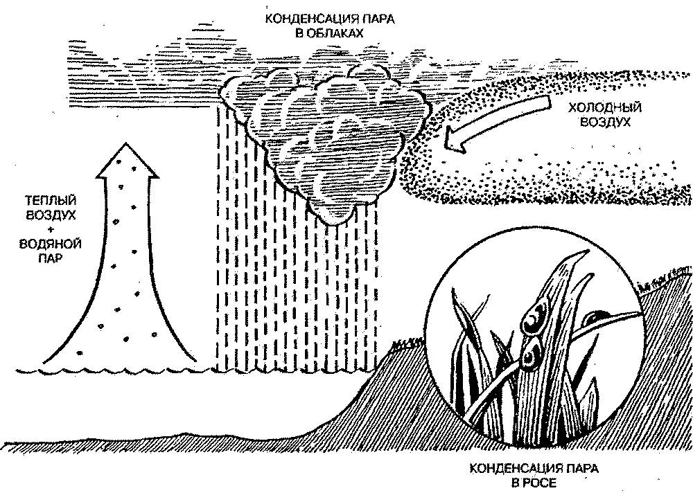 Конденсация водяных паров. Образование росы схема. Схема образования расы. Схема процесса конденсации. Схема образования конденсации.