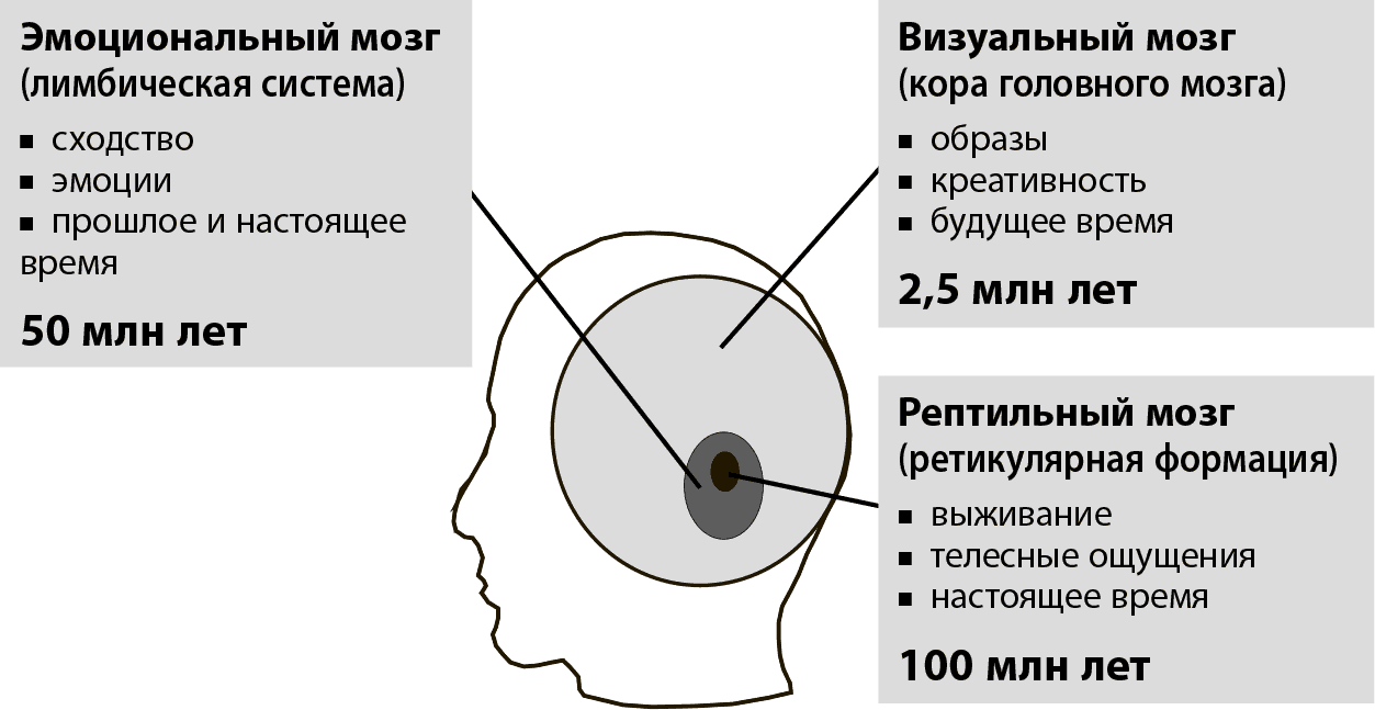 Схема п маклина