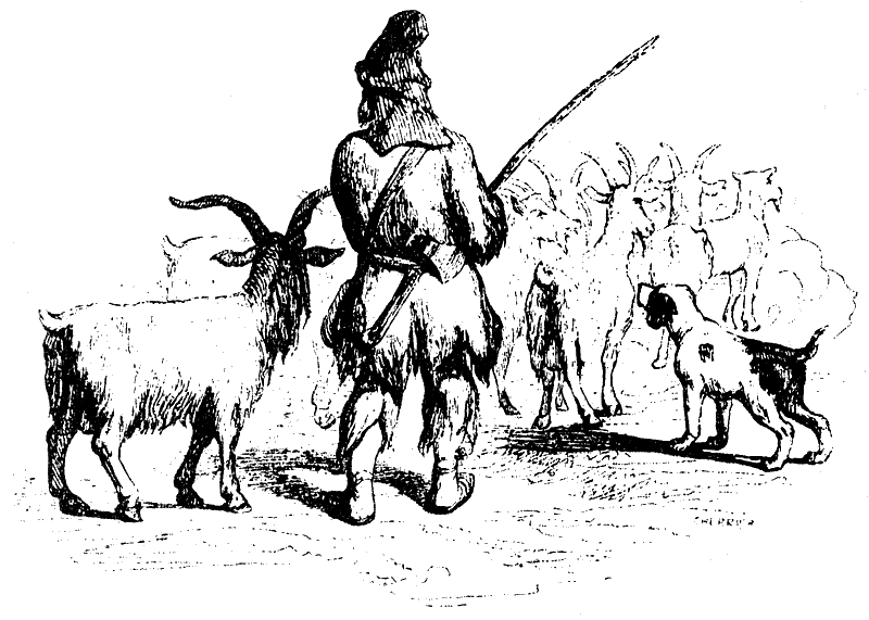 Робинзон Крузо и коза. Робинзон Крузо приручает коз. Охота Робинзона Крузо на коз. Робинзон Крузо иллюстрация к 1 главе.