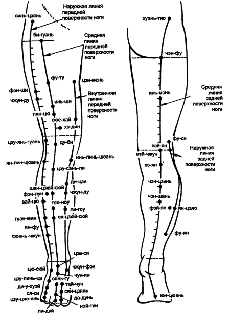 Меридианы на ногах человека схема