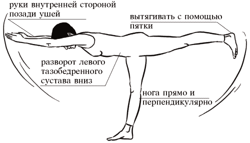 Гимнаст сохраняет равновесие при выполнении упражнений изображенных на рисунке с помощью рецепторов