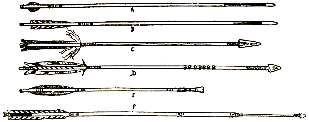 Лук сетон описание. Стрела строение. Оперенная стрела. Сетон Томпсон маленькие дикари рисунки.