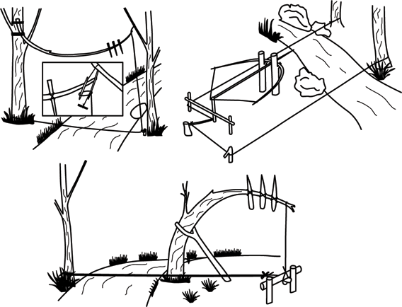 Как сделать ловушку. Охотничьи ловушки и самоловы. Выживание самоловы, ловушки, силки.. Ловушки силки петли и другие приспособления. Вьетнамские ловушки схема.