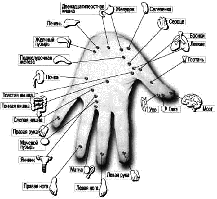 Органы на руке человека. Акупунктура тела человека схема болевые точки. Акупунктура ладони схема. Болевые точки на ладони левой руки. Точки акупунктуры на руке схема.