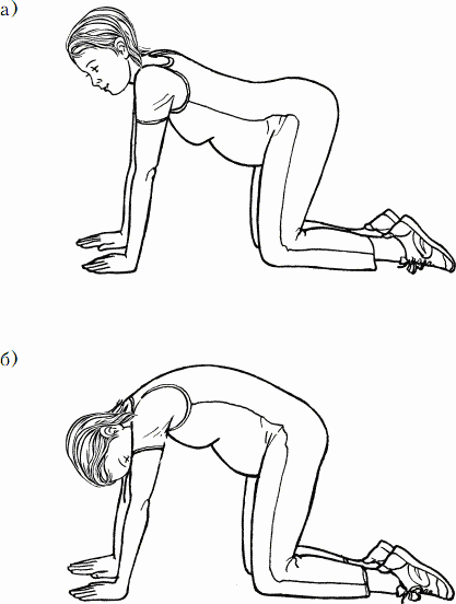 Коленно локтевая. Коленно-локтевая поза. Коленно локтевое упражнение. Колено-локтевая поза для беременных. Упражнения в коленно локтевой позе.