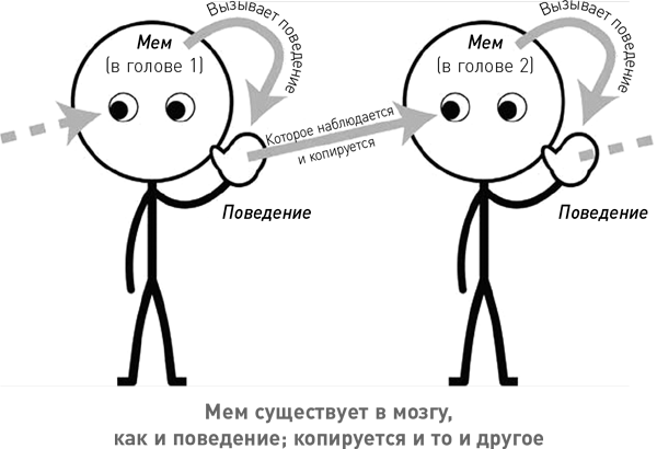 Схема мем. Эволюция мемов. Эволюция Мем. Мемы про развитие. Поведение Мем.