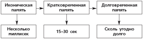 Схема памяти по р аткинсону и р шифрину