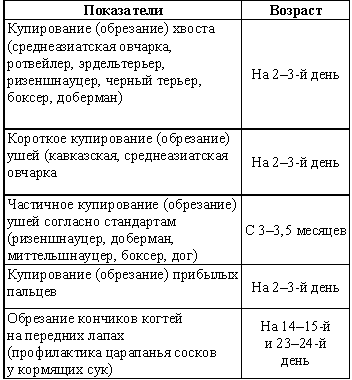 Периоды развития щенков. Периоды развития щенка таблица. Таблица развития щенков по дням. Этапы развития щенка по месяцам. Этапы развития щенка по дням.