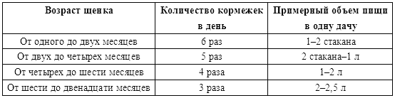 Сколько корма давать щенку в 5 месяцев. Рацион кормления щенка немецкой овчарки 1.5 месяца. Таблица кормления щенок овчарки 3 месяца. Рацион питания щенка немецкой овчарки 3 месяца. Рацион питания месячного щенка немецкой овчарки.