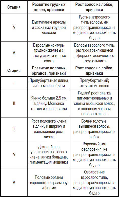 Шкала таннера для мальчиков с рисунками