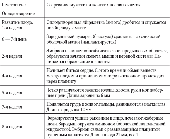 Составьте план для сравнительной характеристики шурика и сергея что у них общего и чем различаются