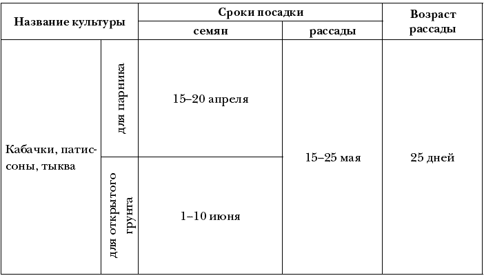 Схема посадки кабачков в открытом грунте семенами