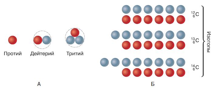 На рисунках схематически показаны некоторые ядра какие из них принадлежат изотопам одного и того же