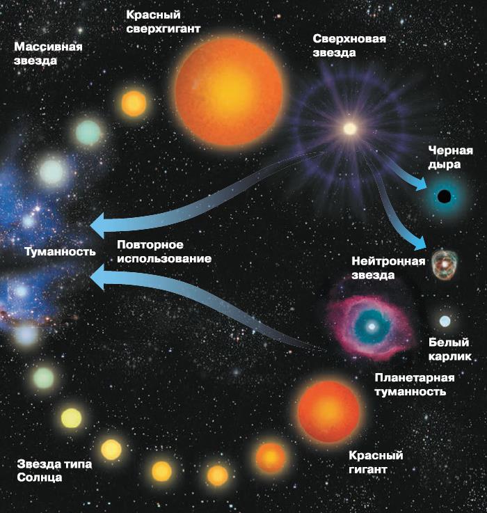 Финал эволюции звезды 7 букв. Жизненный цикл звезды схема. Жизненный цикл звезд схема астрономия. Жизненный цикл звезд главной последовательности. Эволюция звезд.