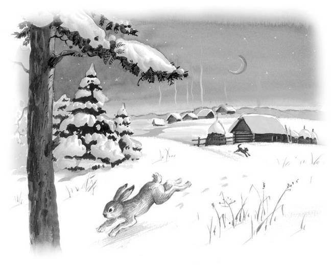 Зайцы зимой живут возле деревни ответы