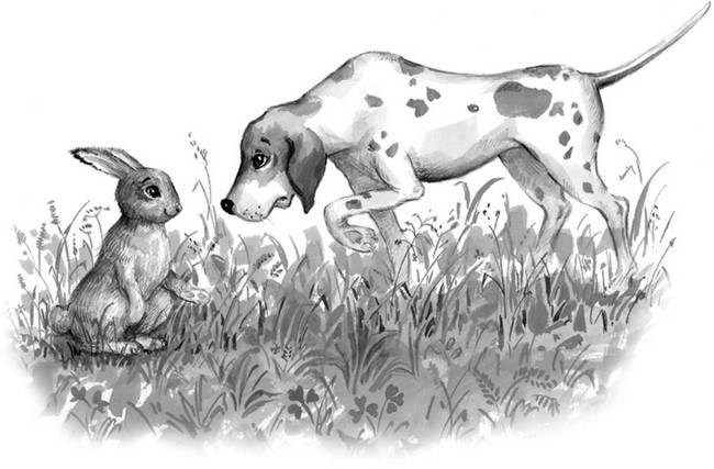 Собаки увидели зайца. Собака охотничья. Заяц бежит. Собаки увидели зайца. Зайцы в лосином острове.