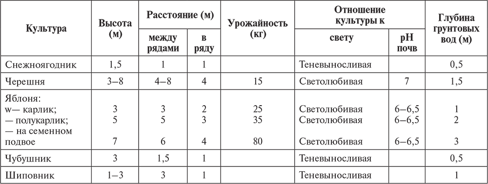 Яблони полукарлики схема посадки