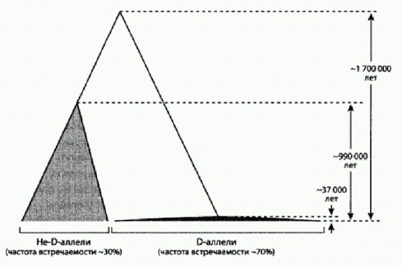 Evans et al