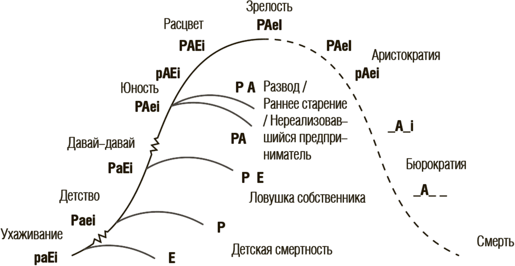 Paei тест расшифровка. Адизес модель paei. Модель Ицхака Адизеса paei. Модель жизненного цикла организации по методологии Ицхака Адизеса.. Адизес типы руководителей paei.