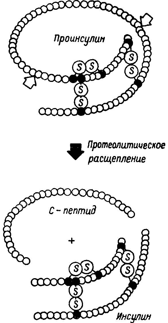 Расщепление молекул