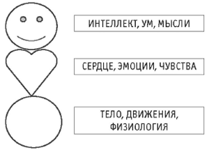 Мысли чувства действия. Тело мысли эмоции. Ум тело эмоции. Тело, эмоции, мышление. Треугольник мысли эмоции тело.