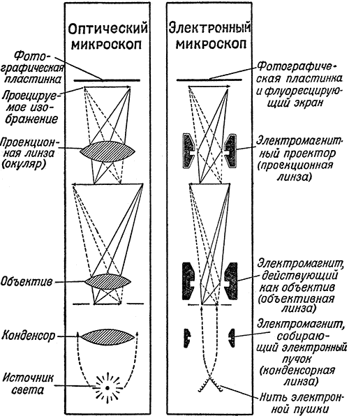 Действие микроскопа. Оптический микроскоп оптическая схема. Принцип работы микроскопа схема. Схема действия оптического микроскопа. Принципиальные схемы светового и электронного микроскопа.